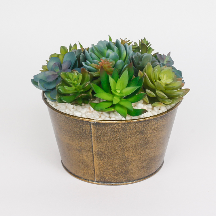 Arrangement-Artificial-Succulent-Plants-with-Iron-Pots-Succulent-Flower-Pot-for-Home-Hotel-Decoration (1).jpg